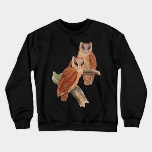 Graphic Brown Owls Crewneck Sweatshirt